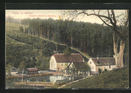 AK Eisenberg /Thür., Partie Im Mühltal, Naupold`s Mühle - Eisenberg