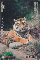 Carte Prépayée JAPON - ANIMAL - Félin TIGRE De SUMATRA & Bébé - TIGER Feline & Baby JAPAN Prepaid Skyliner Card - BE 577 - Jungle