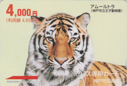 Carte Prépayée JAPON - ANIMAL - Félin - TIGRE De L'AMOUR - AMUR TIGER Feline JAPAN Prepaid Bus Card - 580 - Jungle