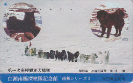 TC JAPON / 110-011 - Cinema  - ANIMAL - CHIEN DE TRAINEAU - Film ANTARCTICA * TARO & JIRO * - DOG JAPAN Movie Pc - 2816 - Chiens