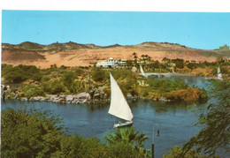 AFRIQUE,AFRICA,AFRIKA,égypte,EGYPT,ASSOUAN,ASWAN,SYENE,ASSWAN - Aswan