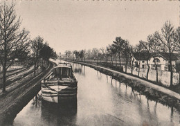 88 - THAON-LES-VOSGES -  Canal De L'Est - Péniche Rosselle (format 10,5X15) - Thaon Les Vosges