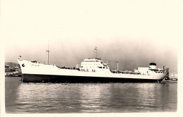 ALFRED FRAISSINET * Carte Photo * Bateau Cargo Paquebot Commerce Marine Marchande ? Compagnie Fraissinet - Comercio