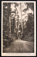 Nigeria A Motor Road Through The Forest NON VIAGGIATA  CODICE C.2891 - Nigeria