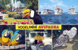 Vogelpark Avifauna Alphen A/d Rijn, NL - Toucan, Macaw, Crane Snowy Owl - Alphen A/d Rijn