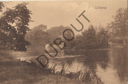 LE ROEULX Postkaart-Carte Postale - L'Etang  (C806) - Le Roeulx