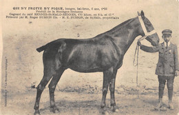 CPA 35 QUI S'Y FROTTE S'Y PIQUE PRODUIT DE LA MONTAGNE BRETONNE PRESENTE PAR ROGER HUSSON DE SAINT MALO - Andere & Zonder Classificatie