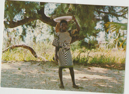 Nigéria :  LAGOS : Pineapple  Vendor  At  The  Beach - Nigeria