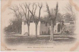 ALGERIE. J. GEISER N° 14 . MEDEA(H) Marabout Et Porte Saraouih - Medea