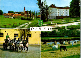 12561 - Steiermark - Piber , Barockschloß , Staatsgestüt, Berühmte Lipizzanerzucht , Mehrbildkarte - Gelaufen 1982 - Köflach