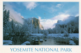 STATI  UNITI    CALIFORNIA   YOSEMITE   PARK - Yosemite