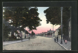 AK Treuenbrietzen, Gross-Strasse Mit Der Luther-Linde - Treuenbrietzen