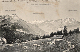 Alpes Vues De Chesières  : Dents De Morcles ,  Glacier Du Ttrient , Dents Du Midi - Morcles