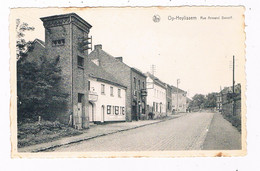 B-8281  OP - HEYLISSEM : Rue Armand Dewolf - Helecine