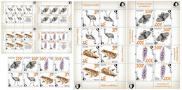 Russia And Finland 2021 Europa Endangered Wildlife Super Full Set Of Peterspost Issue 8 Stamps And 6 Sheetlets - Collections