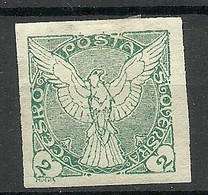 TSCHECHOSLOWAKEI Czechoslovakia 1918 Michel 13 * Newspaper Stamp - Francobolli Per Giornali