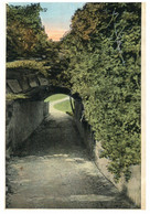 (SS 27) Very Old - USA - Newport Rhode Island - Tunnel On Cliff Walk - Newport