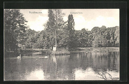 AK Nordhausen, Partie Am Teich Im Stadtpark - Nordhausen