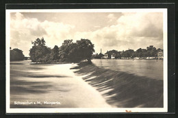 AK Schweinfurt Am Main, Partie An Der Stromschnelle Mit Stadtblick - Schweinfurt