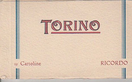 TURIN  ( PIÉMONT  )   UN  DÉPLIANT  12  VUES   CPA  ( 21 / 6 / 284  ) - Collections & Lots