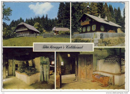 KRIEGLACH - PETER ROSEGGER's WALDHEIMAT , Dichter - Krieglach