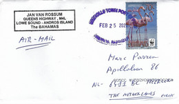 Bahamas 2021 Nicholl's Town WWF Caribbean Flamingo Phoenicopterus Ruber Cover - Brieven En Documenten