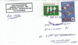 Bahamas 2021 Nicholl's Town WWF Caribbean Flamingo Phoenicopterus Ruber Marathon Athletics Cover - Briefe U. Dokumente