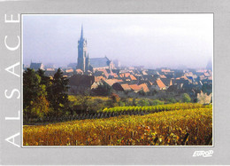 67 - Dambach La Ville - Vue Générale - Dambach-la-ville