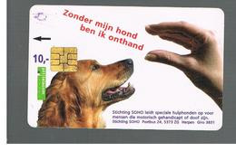 OLANDA (NETHERLANDS) -   DOG    -  USED - RIF. 10852 - Chiens