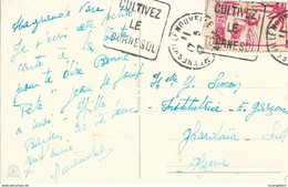 ALGERIE -  BLIDA  -  FLAMME DAGUIN :  CULTIVEZ / LE / TOURNESOL   -  1947 - TRES BELLE FRAPPE - Lettres & Documents