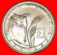 • FAO 1945 BULL: CYPRUS ★ 1 POUND 1995 UNCOMMON! MINT LUSTER! LOW START ★ NO RESERVE! - Cyprus