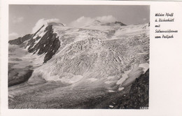 6476) Wilder Pfaff U. ZUCKERHÜTL Mit Sulzenauferner Vom PEILJOCH - Alt ! - Neustift Im Stubaital