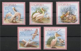 ALBANIA, PELICANS, MNH SET FROM 1967 - Pélicans