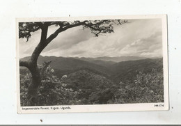 UGANDA 144-17-6 IMPENETRABLE FOREST . KIGEZI - Uganda