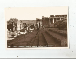 LIBAN 661 CARTE PHOTO BAALBECK ESCALIER DU TEMPLE DE JUPITER ET TEMPLE DE BACCHUS - Liban