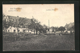 AK Bad Oppelsdorf, Landhaus Wespi, Landhaus Rothe - Sudeten