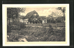 AK Reichenau, Blick In Den Ort - Sudeten