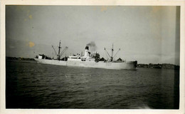 CALEDONIA Suédois Sverige * Carte Photo * Bateau Cargo Paquebot Commerce Marine Marchande ? Compagnie - Handel