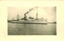 IVERNIA Suédois Sverige * Carte Photo * Bateau Cargo Paquebot Commerce Marine Marchande ? Compagnie - Comercio