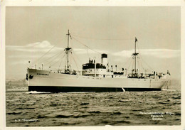 S.S. SIGNEBORG Suédois Sverige * Carte Photo * Bateau Cargo Paquebot Commerce Marine Marchande ? Compagnie - Handel