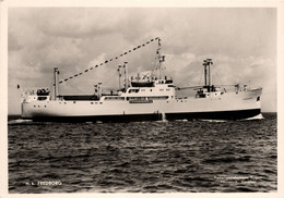 M.S. FREDBORG Suédois Sverige * Carte Photo * Bateau Cargo Paquebot Commerce Marine Marchande ? Compagnie - Comercio