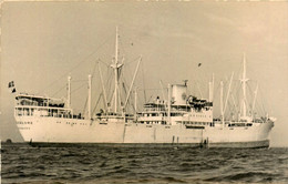 MANGALORE * Carte Photo * Bateau Cargo Paquebot Commerce Marine Marchande ? Compagnie - Commerce