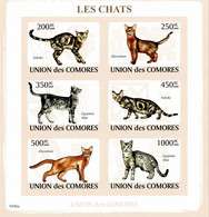 COMOROS ISLANDS 2009 Mi 2205-2210B KLB CATS IMPERFORATED MINT MINIATURE SHEET ** - Comores (1975-...)