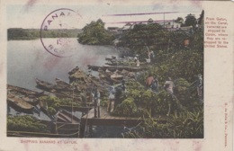 Panama - Canal De Panama - Shipping Bananas At Gatun Lake - Postmarked 1909 - Panama