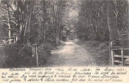 Haslemere Tennyson's Lane - Surrey