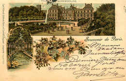 Paris 6ème * Gruss Souvenir 1903 Palais Du Luxembourg , Fontaine De Médicis * Palais Du Luxembourg * Carl Künzli - Arrondissement: 06