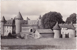 Isère : VIRIEU - VIRIEU SUR BOURBRE : Vieux Château Construit Vers 1010 : Photo Véritable - Virieu