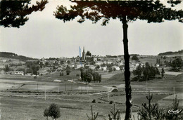 St Pal De Chalençon * Vue Générale Du Village - Sonstige & Ohne Zuordnung