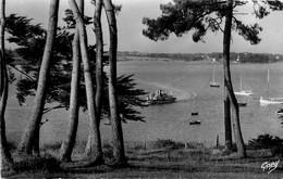 Ile Aux Moines * Le Bois D'amour * Le Bateau * Panorama - Ile Aux Moines