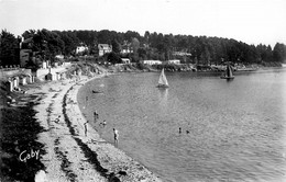 Ile Aux Moines * Vue Sur La Plage Du Drenn - Ile Aux Moines